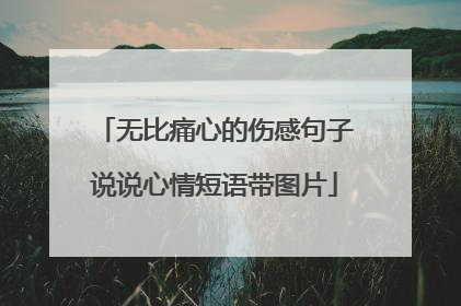 无比痛心的伤感句子说说心情短语带图片