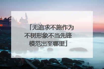 无追求不施作为不树形象不当先锋模范出至哪里