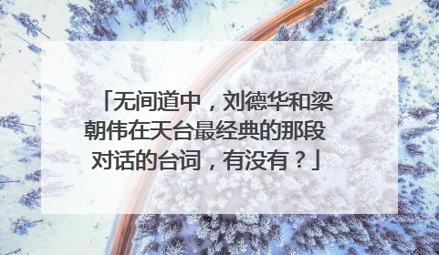 无间道中，刘德华和梁朝伟在天台最经典的那段对话的台词，有没有？