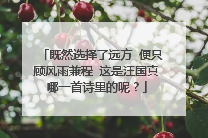 既然选择了远方 便只顾风雨兼程 这是汪国真哪一首诗里的呢?