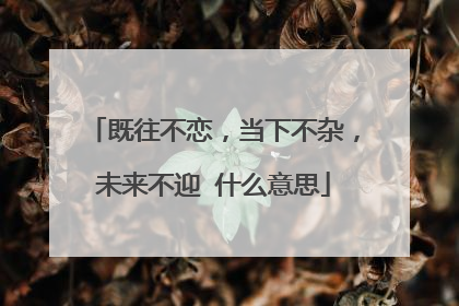 既往不恋，当下不杂，未来不迎 什么意思