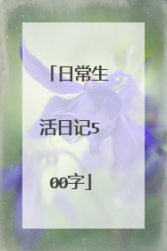 日常生活日记500字