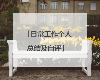 日常工作个人总结及自评