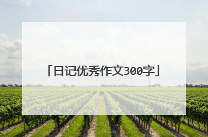 日记优秀作文300字