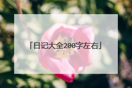 日记大全200字左右