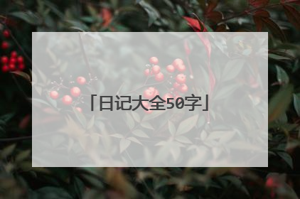 日记大全50字