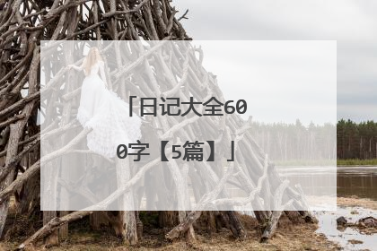 日记大全600字【5篇】