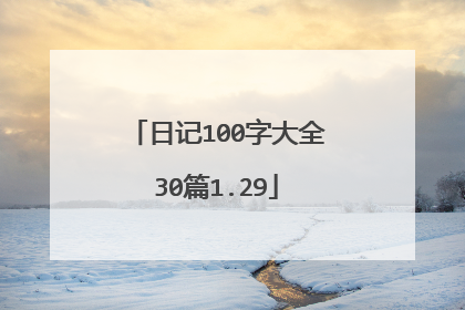 日记100字大全30篇1.29