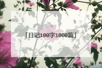 日记100字1000篇