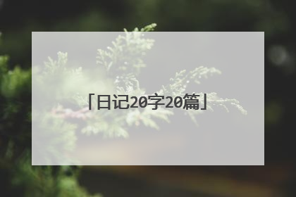 日记20字20篇