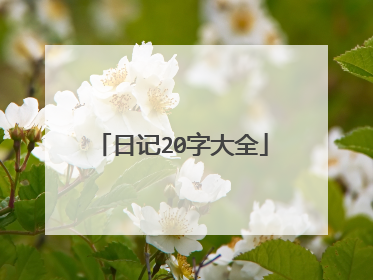 日记20字大全