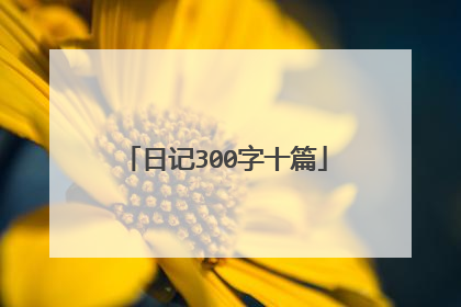 日记300字十篇
