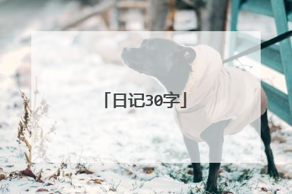 日记30字