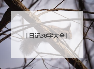 日记30字大全