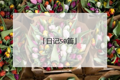 日记50篇