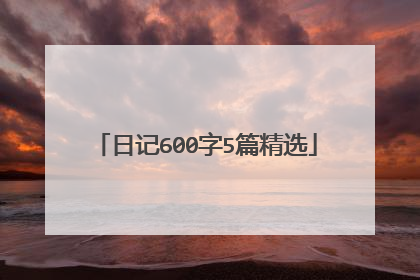日记600字5篇精选