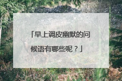 早上调皮幽默的问候语有哪些呢？