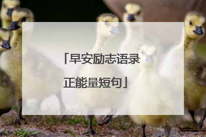 早安励志语录正能量短句