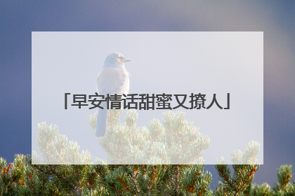 早安情话甜蜜又撩人