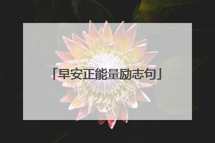 早安正能量励志句