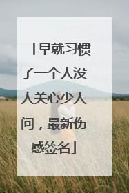 早就习惯了一个人没人关心少人问,最新伤感签名