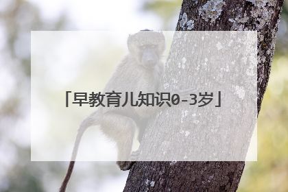 早教育儿知识0-3岁