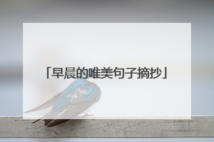 早晨的唯美句子摘抄