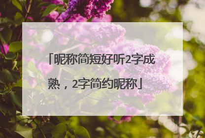 昵称简短好听2字成熟，2字简约昵称