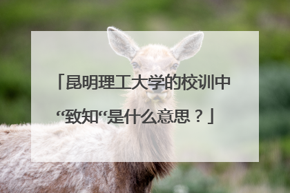 昆明理工大学的校训中“致知“是什么意思?