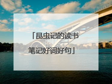 昆虫记的读书笔记好词好句