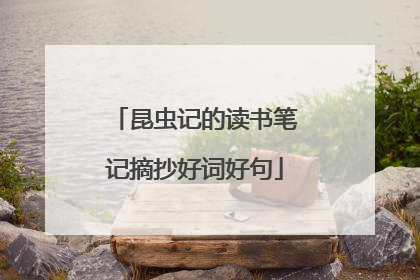 昆虫记的读书笔记摘抄好词好句