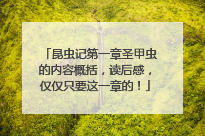 昆虫记第一章圣甲虫的内容概括，读后感，仅仅只要这一章的！