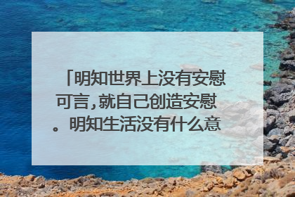 明知世界上没有安慰可言,就自己创造安慰。明知生活没有什么意义,就自己创造生