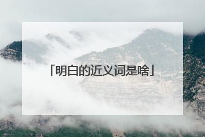 明白的近义词是啥