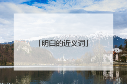 明白的近义词