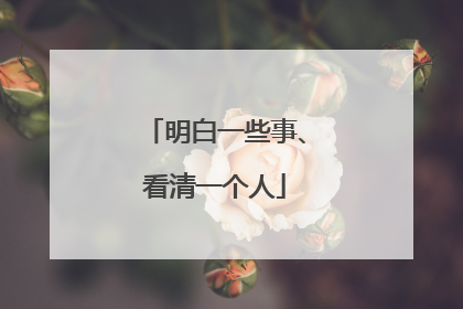 明白一些事、看清一个人
