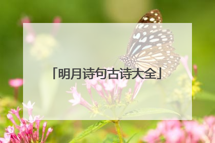 明月诗句古诗大全
