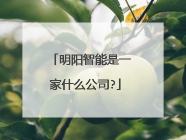 明阳智能是一家什么公司?