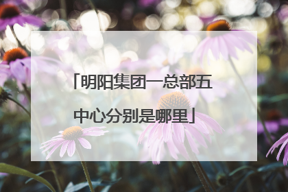 明阳集团一总部五中心分别是哪里