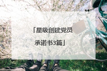 星级创建党员承诺书3篇