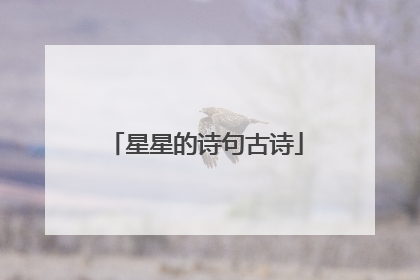 星星的诗句古诗