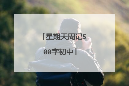 星期天周记500字初中