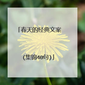 春天的经典文案 (集锦40句)