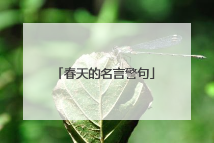 春天的名言警句