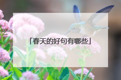 春天的好句有哪些