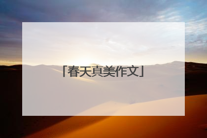 春天真美作文