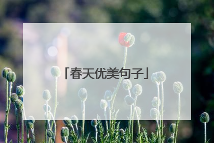 春天优美句子