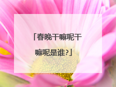 春晚干嘛呢干嘛呢是谁?