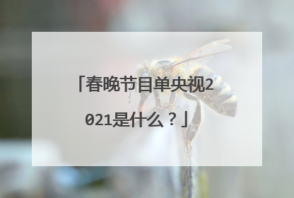 春晚节目单央视2021是什么?