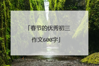 春节的优秀初三作文600字